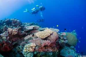 太平洋港口和贝卡泻湖的冒险之旅，斐济浮潜冲浪漂流活动